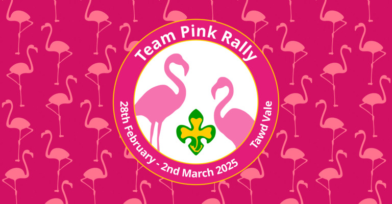 Team Pink Rally